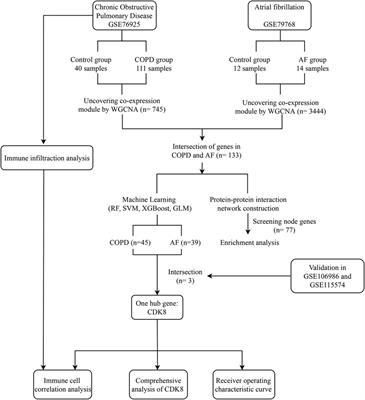 Combining bioinformatics and machine learning to identify common mechanisms and biomarkers of chronic obstructive pulmonary disease and atrial fibrillation